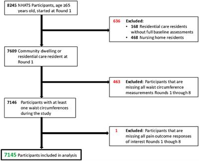 Central Obesity Is Associated With an Increased Rate of Multisite Pain in Older Adults